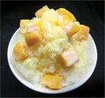 東京シティ競馬のプレスリリース画像5