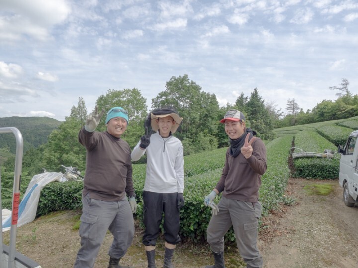 Ｍ・Ｔファーム株式会社のプレスリリース画像1