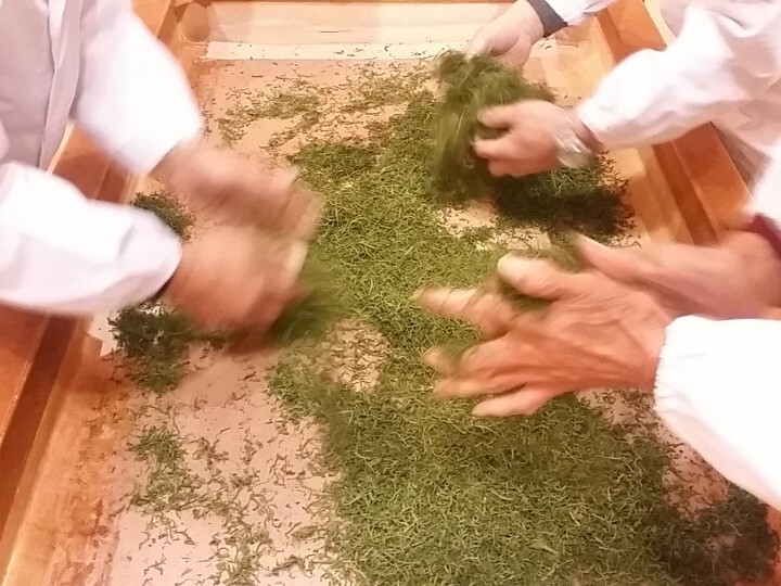 株式会社樽脇園のプレスリリース画像1