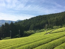 株式会社樽脇園のプレスリリース3