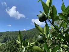 株式会社樽脇園のプレスリリース画像1