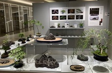 株式会社マークスのプレスリリース画像1