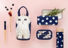 株式会社マークスのプレスリリース画像1