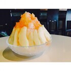 株式会社リステラのプレスリリース画像5