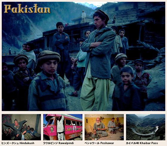 株式会社テフのプレスリリース画像4