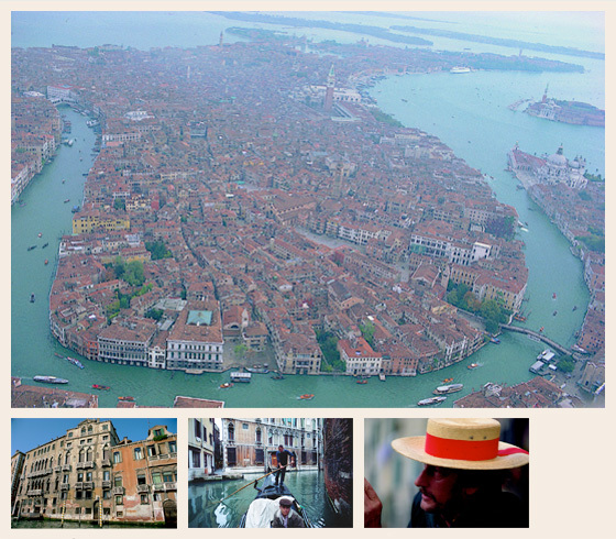 株式会社テフのプレスリリース画像5