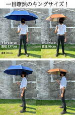 インタービジネスブリッジ合同会社のプレスリリース画像1