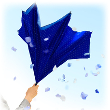 インタービジネスブリッジ合同会社のプレスリリース画像5