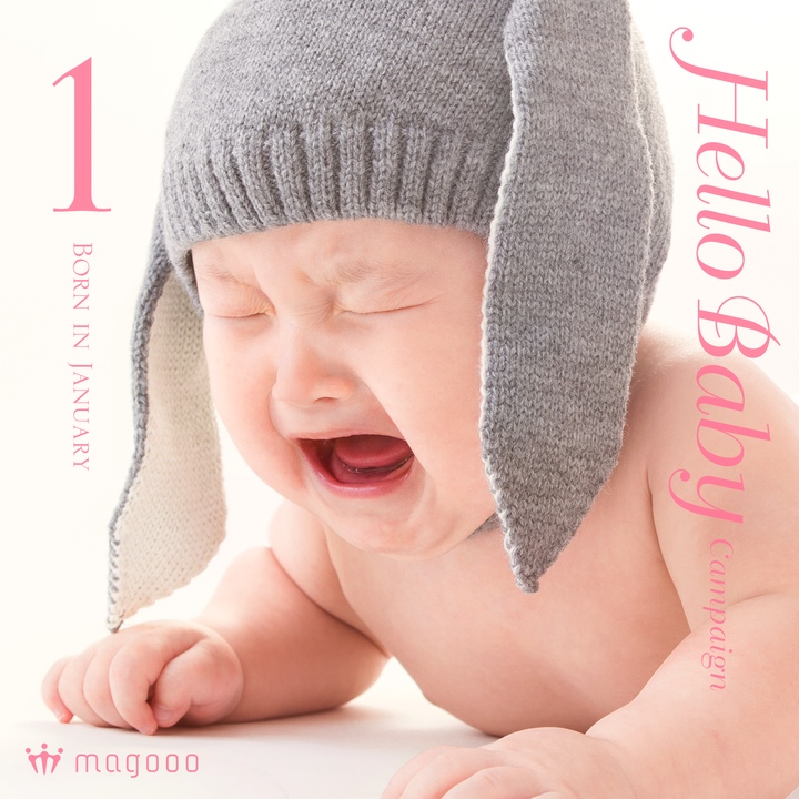 株式会社マコルデのプレスリリース画像1