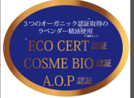 株式会社Brand Masterのプレスリリース画像3