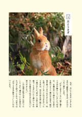 新日本カレンダー株式会社のプレスリリース画像4