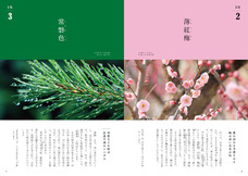 新日本カレンダー株式会社のプレスリリース画像7