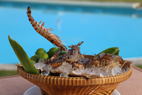 （一財）沖縄観光コンベンションビューローのプレスリリース画像2