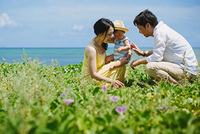 （一財）沖縄観光コンベンションビューローのプレスリリース画像5