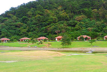 （一財）沖縄観光コンベンションビューローのプレスリリース画像4