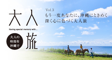 （一財）沖縄観光コンベンションビューローのプレスリリース画像8