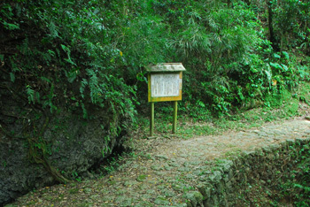 （一財）沖縄観光コンベンションビューローのプレスリリース画像5