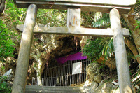 （一財）沖縄観光コンベンションビューローのプレスリリース画像4