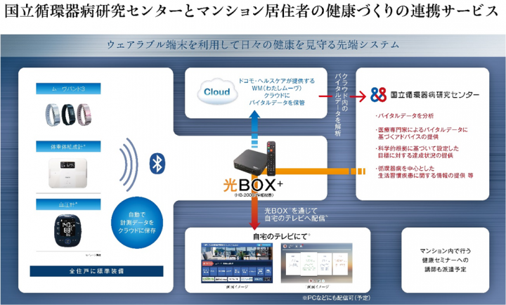 株式会社イロハのプレスリリース画像2