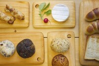 株式会社ココウェルのプレスリリース画像5