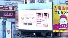 株式会社マリッシュのプレスリリース画像1