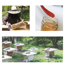 ローザンヌ株式会社のプレスリリース画像2