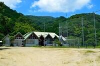 株式会社 Bebloomのプレスリリース画像3