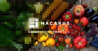 株式会社ハカルスのプレスリリース