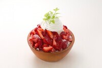 株式会社 TBI JAPANのプレスリリース