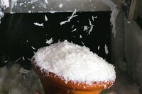 株式会社 TBI JAPANのプレスリリース画像6