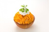 株式会社 TBI JAPANのプレスリリース画像2