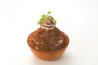 株式会社 TBI JAPANのプレスリリース画像4