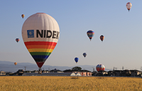 株式会社二デックのプレスリリース画像2