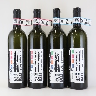 株式会社スイミージャパンのプレスリリース画像4