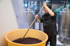 株式会社スイミージャパンのプレスリリース画像2