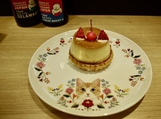 株式会社スイミージャパンのプレスリリース画像5