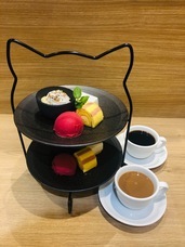 株式会社スイミージャパンのプレスリリース画像5