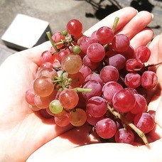 株式会社スイミージャパンのプレスリリース画像2