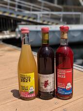 株式会社スイミージャパンのプレスリリース画像1