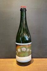 株式会社スイミージャパンのプレスリリース画像4