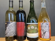 株式会社スイミージャパンのプレスリリース画像1