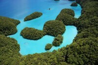 クレリオ株式会社のプレスリリース画像6