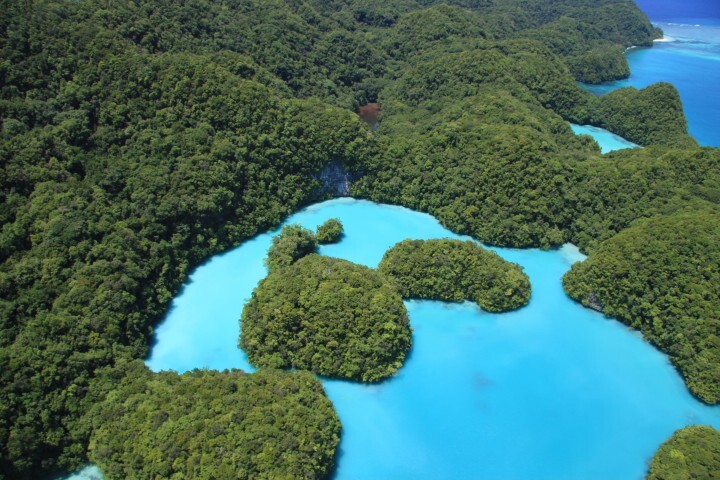 クレリオ株式会社のプレスリリース画像3