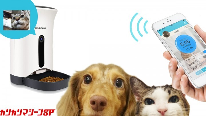 ペットのごはんもスマホから！猫・小型犬用スマホ自動給餌器「カリカリマシーン™SP」 を先行予約販売開始。 株式会社アクセスラインのプレスリリース