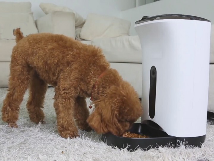 株式会社アクセスラインのプレスリリース画像9