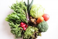 有限会社マルイチ水産のプレスリリース画像1