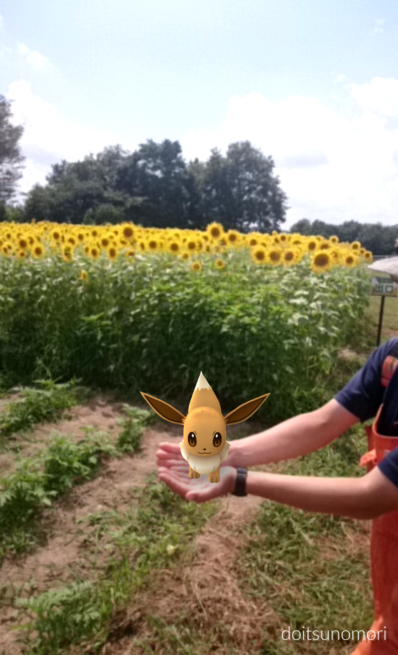 都会を離れ自然いっぱいの公園でポケモンgoを楽しもう ポケモンgo並びスマホゲームプレイヤーへの注意の呼びかけ 赤城高原開発株式会社 クローネンベルクのプレスリリース 都会を離れ自然いっぱいの公園でポケモンgoを楽しもう ポケモンgo並びスマホゲームプレイヤーへの注意の呼びかけ 赤城高原開発株式会社 クローネンベルクのプレスリリース