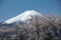 株式会社世界のCRFのプレスリリース画像6