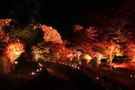 株式会社世界のCRFのプレスリリース画像5