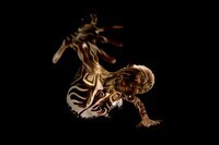 飯田将茂のプレスリリース画像3